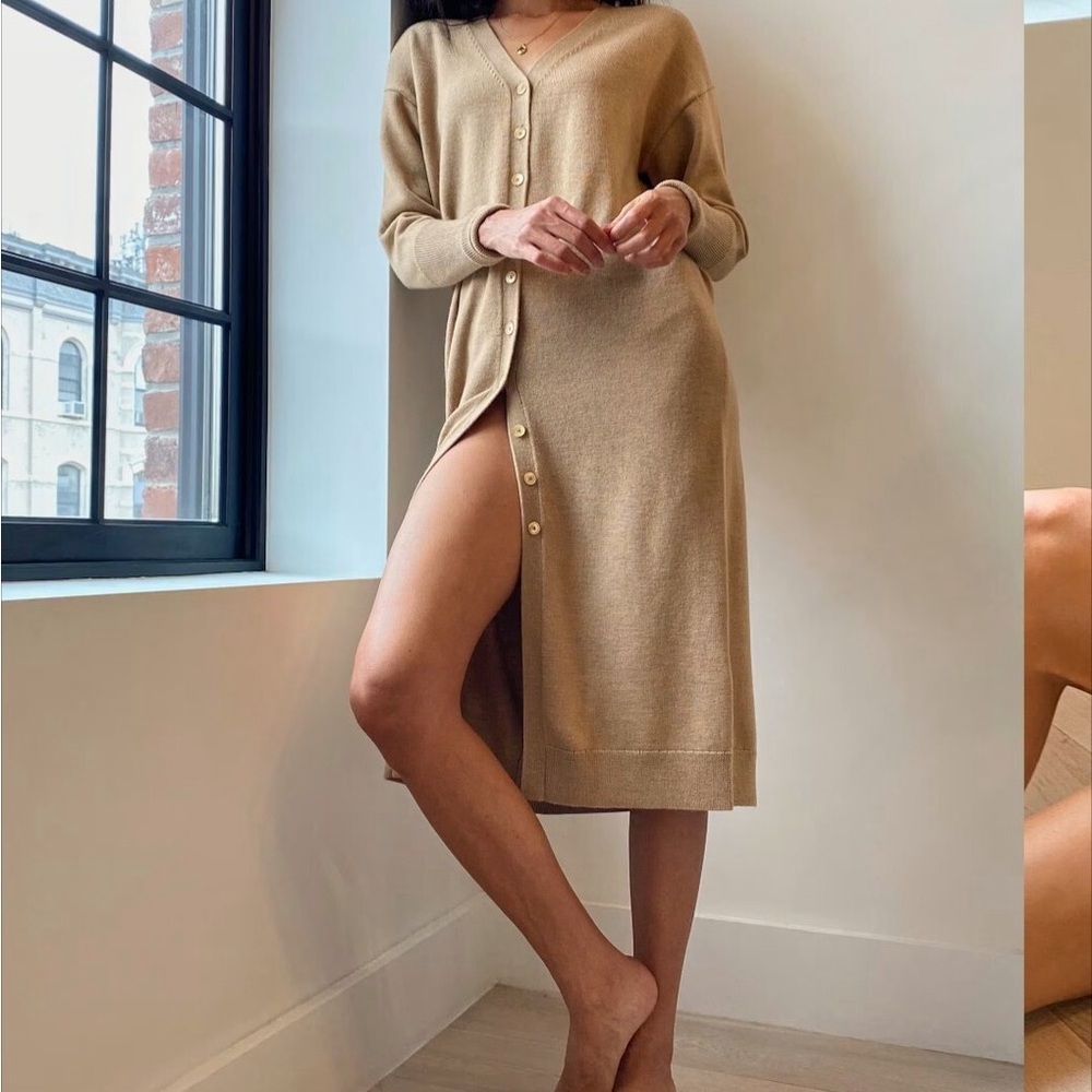 Wilfred Utopia Dress